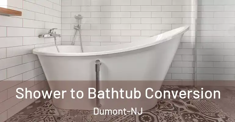 inner Bathroom imggen Shower to Bathtub Conversion Dumont-NJ