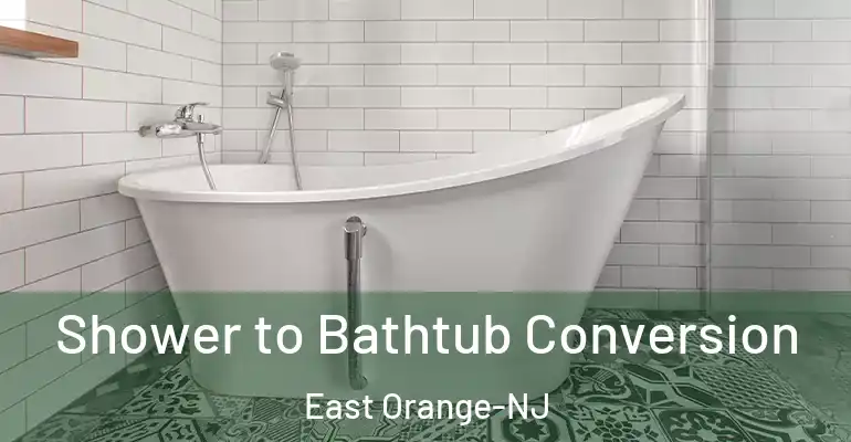 inner Bathroom imggen Shower to Bathtub Conversion East Orange-NJ