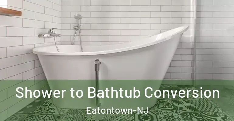 inner Bathroom imggen Shower to Bathtub Conversion Eatontown-NJ