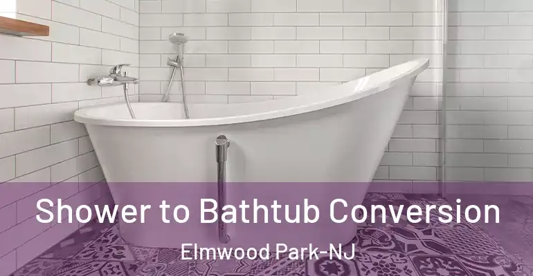 inner Bathroom imggen Shower to Bathtub Conversion Elmwood Park-NJ