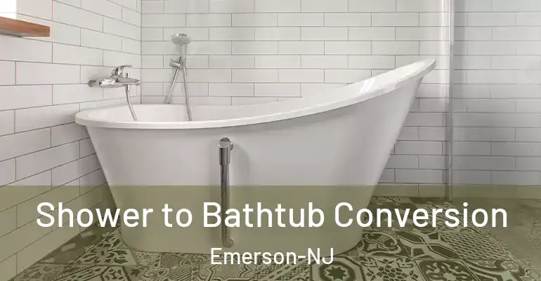 inner Bathroom imggen Shower to Bathtub Conversion Emerson-NJ