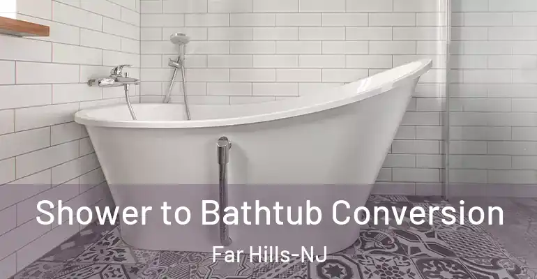 inner Bathroom imggen Shower to Bathtub Conversion Far Hills-NJ
