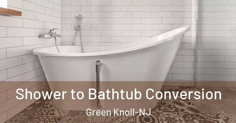 inner Bathroom imggen Shower to Bathtub Conversion Green Knoll-NJ