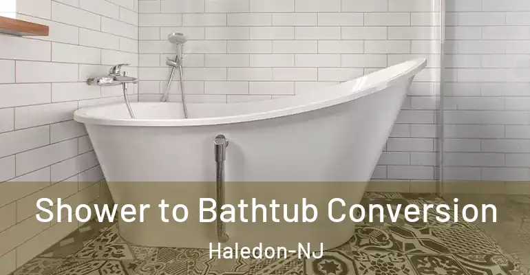 inner Bathroom imggen Shower to Bathtub Conversion Haledon-NJ