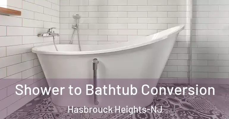 inner Bathroom imggen Shower to Bathtub Conversion Hasbrouck Heights-NJ