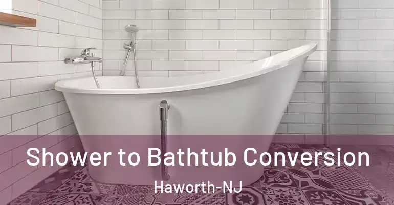 inner Bathroom imggen Shower to Bathtub Conversion Haworth-NJ