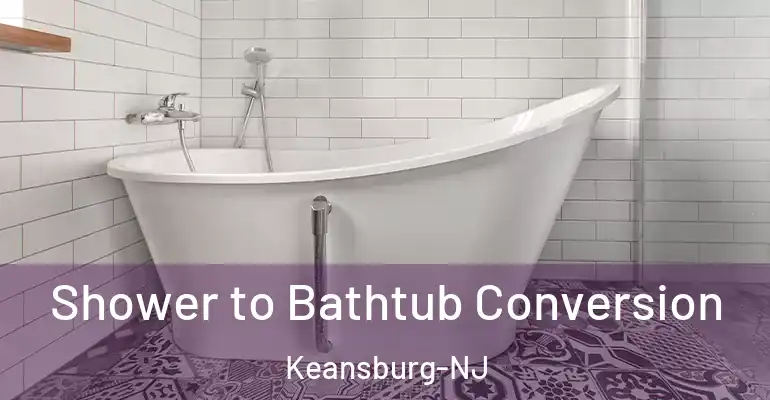inner Bathroom imggen Shower to Bathtub Conversion Keansburg-NJ