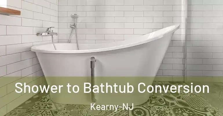 inner Bathroom imggen Shower to Bathtub Conversion Kearny-NJ