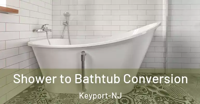 inner Bathroom imggen Shower to Bathtub Conversion Keyport-NJ