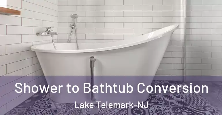 inner Bathroom imggen Shower to Bathtub Conversion Lake Telemark-NJ