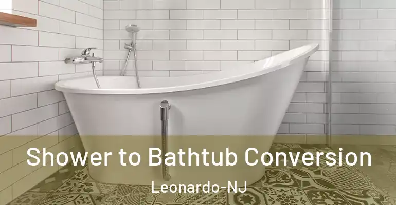 inner Bathroom imggen Shower to Bathtub Conversion Leonardo-NJ