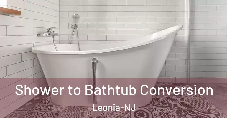 inner Bathroom imggen Shower to Bathtub Conversion Leonia-NJ