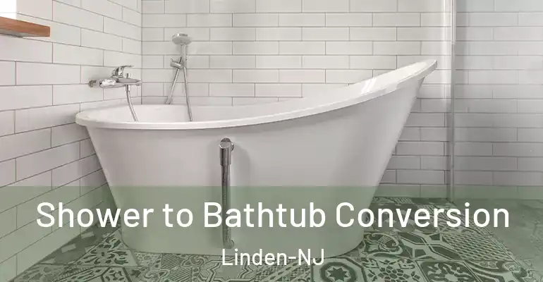 inner Bathroom imggen Shower to Bathtub Conversion Linden-NJ
