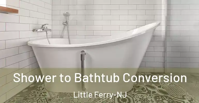 inner Bathroom imggen Shower to Bathtub Conversion Little Ferry-NJ
