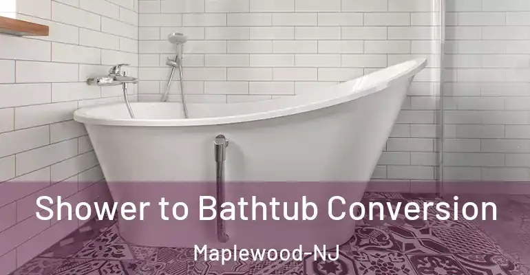 inner Bathroom imggen Shower to Bathtub Conversion Maplewood-NJ