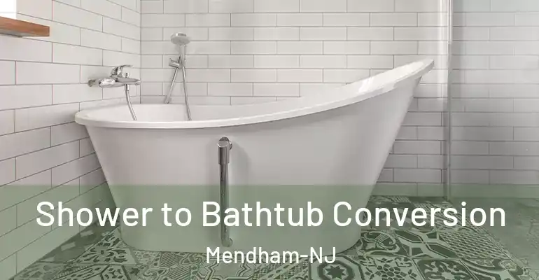 inner Bathroom imggen Shower to Bathtub Conversion Mendham-NJ