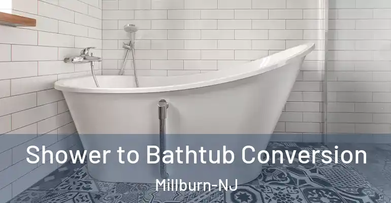 inner Bathroom imggen Shower to Bathtub Conversion Millburn-NJ