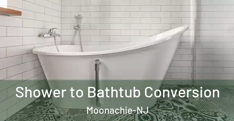 inner Bathroom imggen Shower to Bathtub Conversion Moonachie-NJ