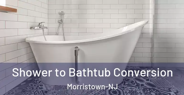 inner Bathroom imggen Shower to Bathtub Conversion Morristown-NJ