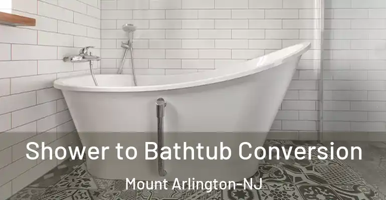 inner Bathroom imggen Shower to Bathtub Conversion Mount Arlington-NJ