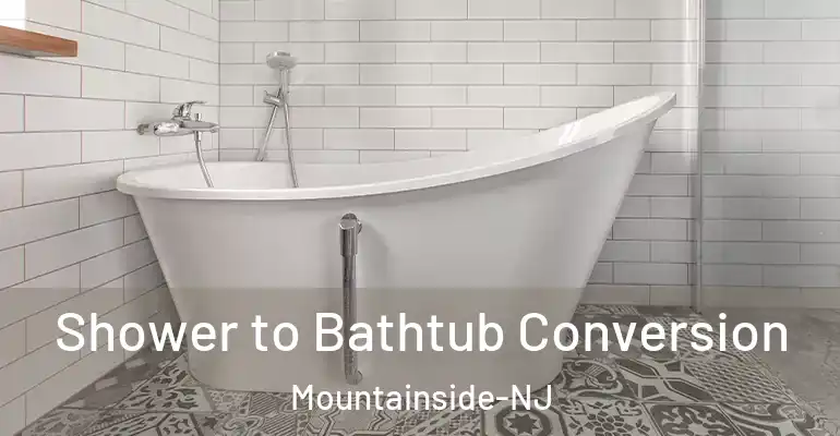 inner Bathroom imggen Shower to Bathtub Conversion Mountainside-NJ