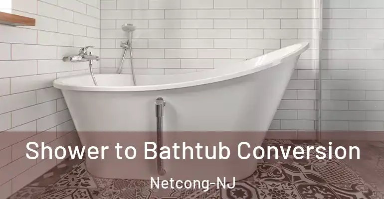 inner Bathroom imggen Shower to Bathtub Conversion Netcong-NJ