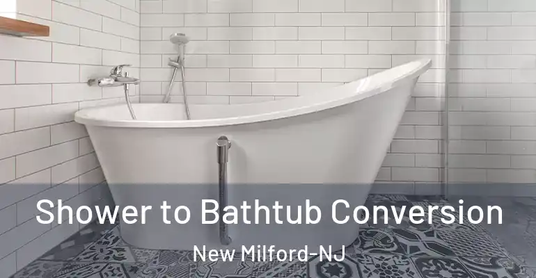 inner Bathroom imggen Shower to Bathtub Conversion New Milford-NJ