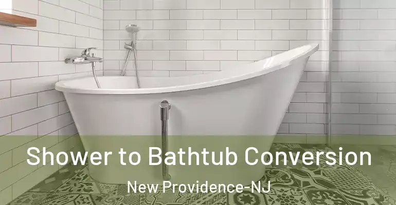 inner Bathroom imggen Shower to Bathtub Conversion New Providence-NJ