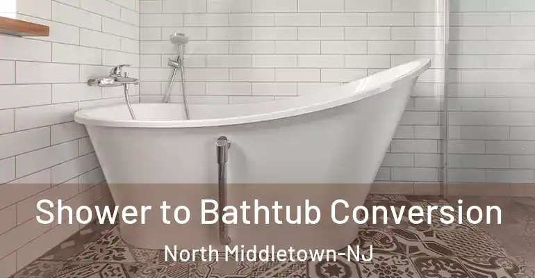 inner Bathroom imggen Shower to Bathtub Conversion North Middletown-NJ