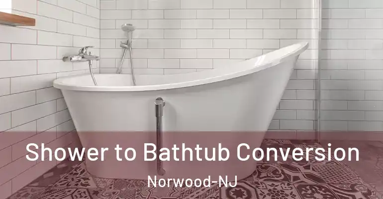 inner Bathroom imggen Shower to Bathtub Conversion Norwood-NJ