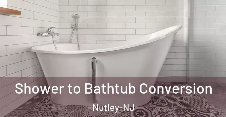 inner Bathroom imggen Shower to Bathtub Conversion Nutley-NJ