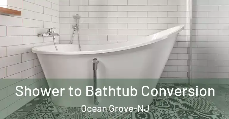 inner Bathroom imggen Shower to Bathtub Conversion Ocean Grove-NJ