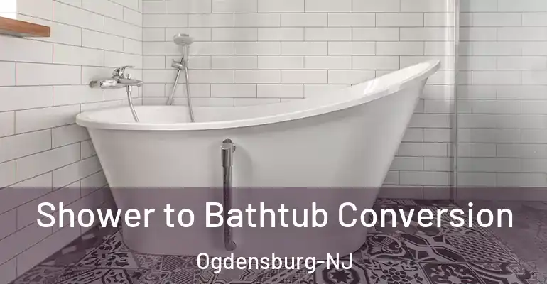 inner Bathroom imggen Shower to Bathtub Conversion Ogdensburg-NJ