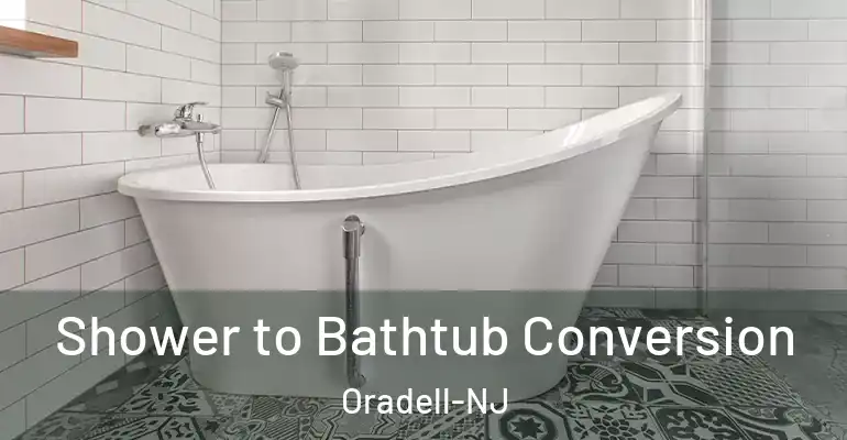 inner Bathroom imggen Shower to Bathtub Conversion Oradell-NJ