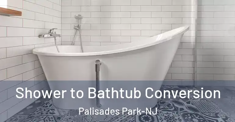 inner Bathroom imggen Shower to Bathtub Conversion Palisades Park-NJ