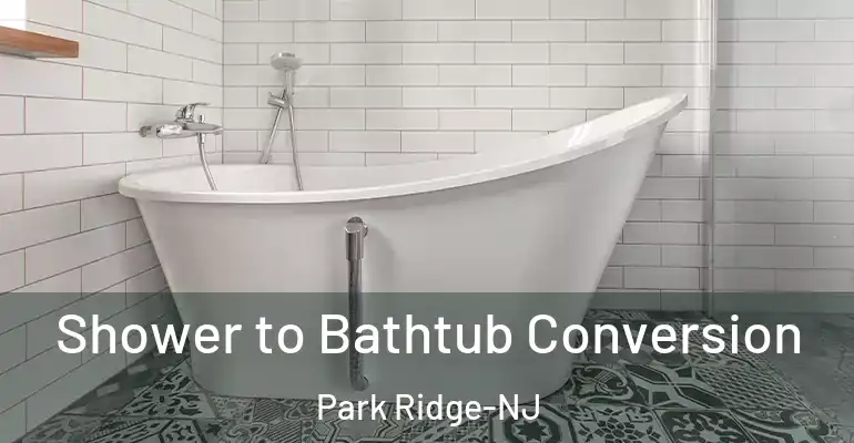 inner Bathroom imggen Shower to Bathtub Conversion Park Ridge-NJ