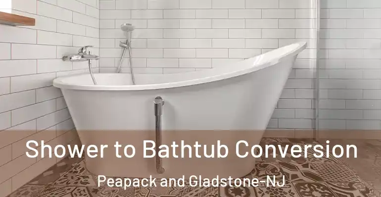 inner Bathroom imggen Shower to Bathtub Conversion Peapack and Gladstone-NJ