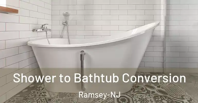 inner Bathroom imggen Shower to Bathtub Conversion Ramsey-NJ