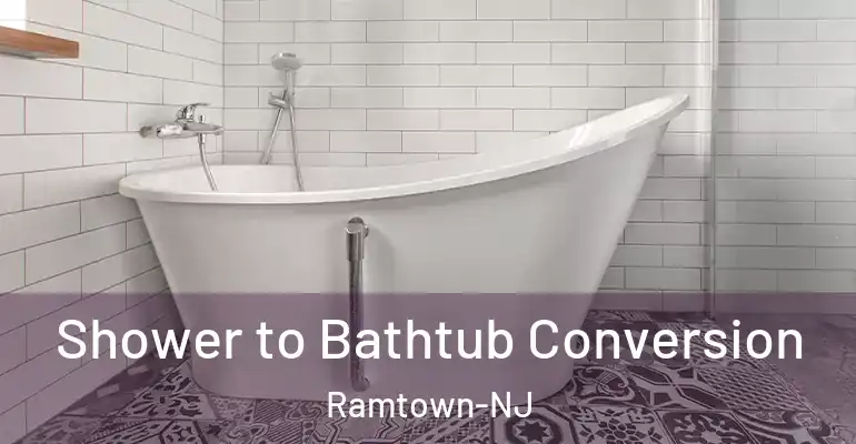 inner Bathroom imggen Shower to Bathtub Conversion Ramtown-NJ