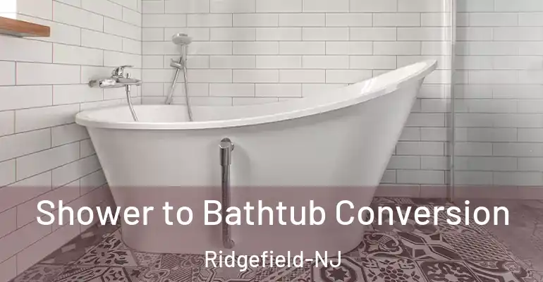 inner Bathroom imggen Shower to Bathtub Conversion Ridgefield-NJ