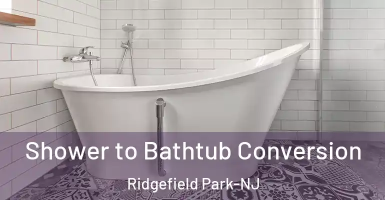 inner Bathroom imggen Shower to Bathtub Conversion Ridgefield Park-NJ