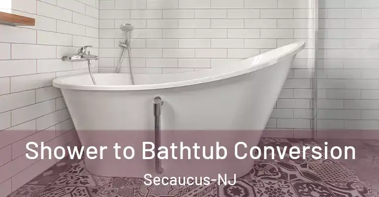 inner Bathroom imggen Shower to Bathtub Conversion Secaucus-NJ