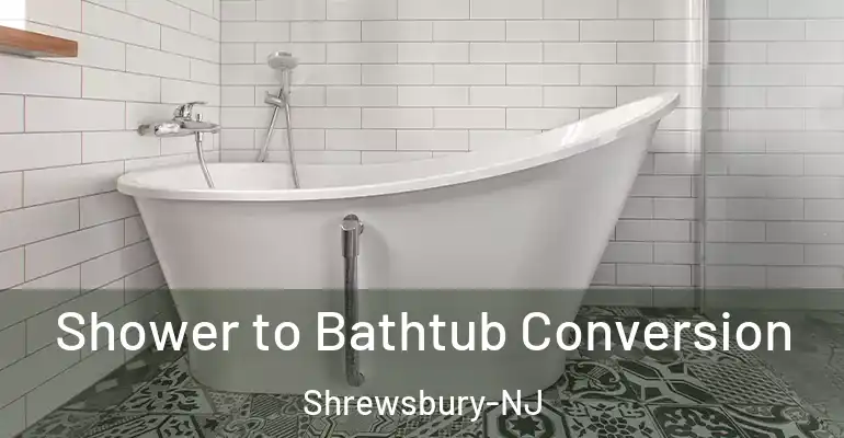 inner Bathroom imggen Shower to Bathtub Conversion Shrewsbury-NJ