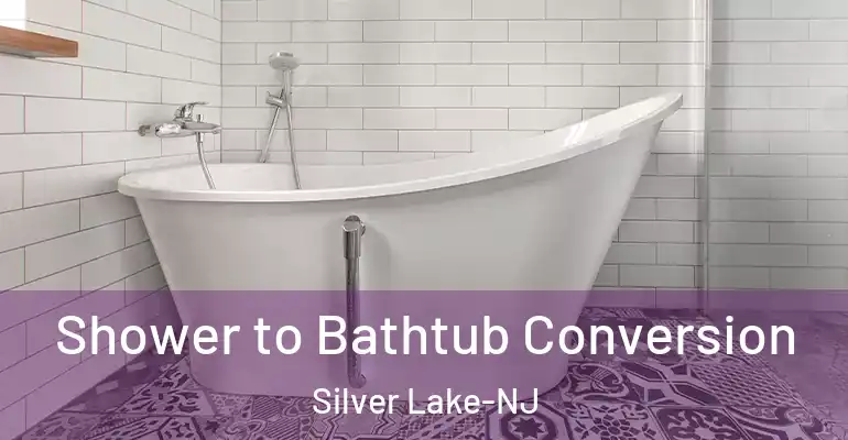 inner Bathroom imggen Shower to Bathtub Conversion Silver Lake-NJ