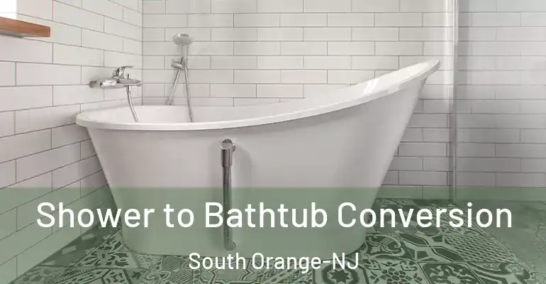inner Bathroom imggen Shower to Bathtub Conversion South Orange-NJ