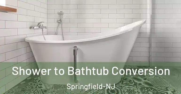 inner Bathroom imggen Shower to Bathtub Conversion Springfield-NJ
