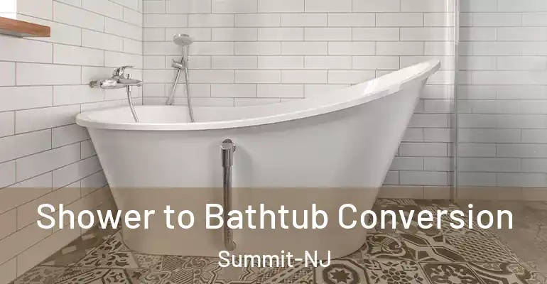 inner Bathroom imggen Shower to Bathtub Conversion Summit-NJ