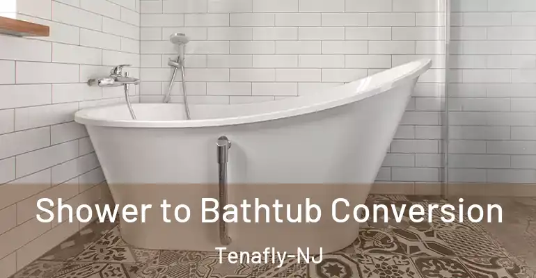 inner Bathroom imggen Shower to Bathtub Conversion Tenafly-NJ