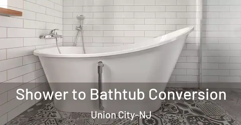 inner Bathroom imggen Shower to Bathtub Conversion Union City-NJ