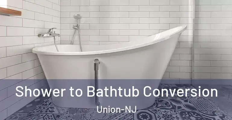 inner Bathroom imggen Shower to Bathtub Conversion Union-NJ